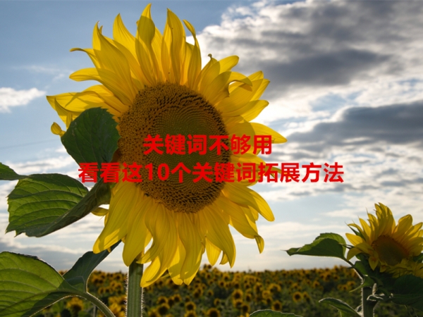 關(guān)鍵詞不夠用，看看這10個關(guān)鍵詞拓展方法！